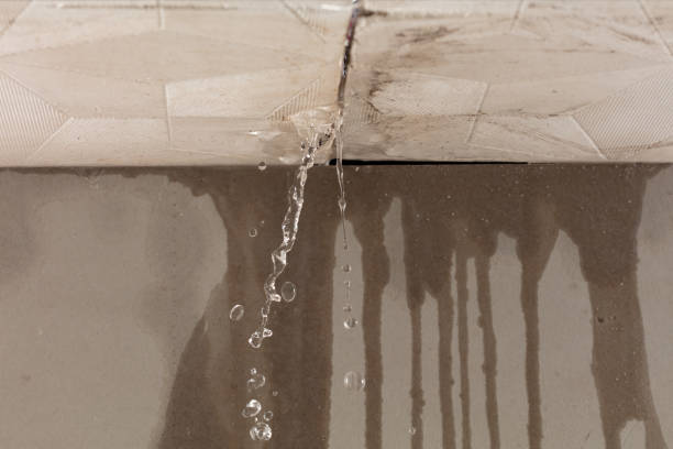 Professional Burst Pipe Cleanup technician working in Springfield, GA